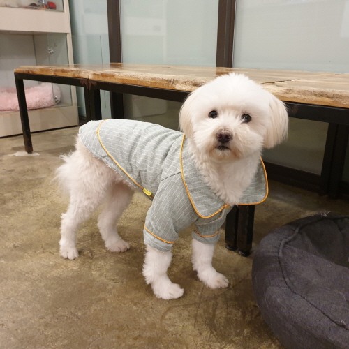 콩쥐