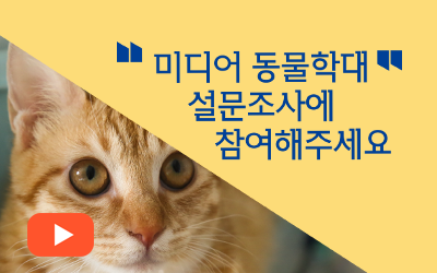 카라 미디어 이미지