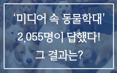 카라 미디어 이미지