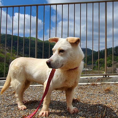 팥쥐