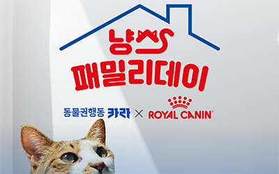 냥스 이미지