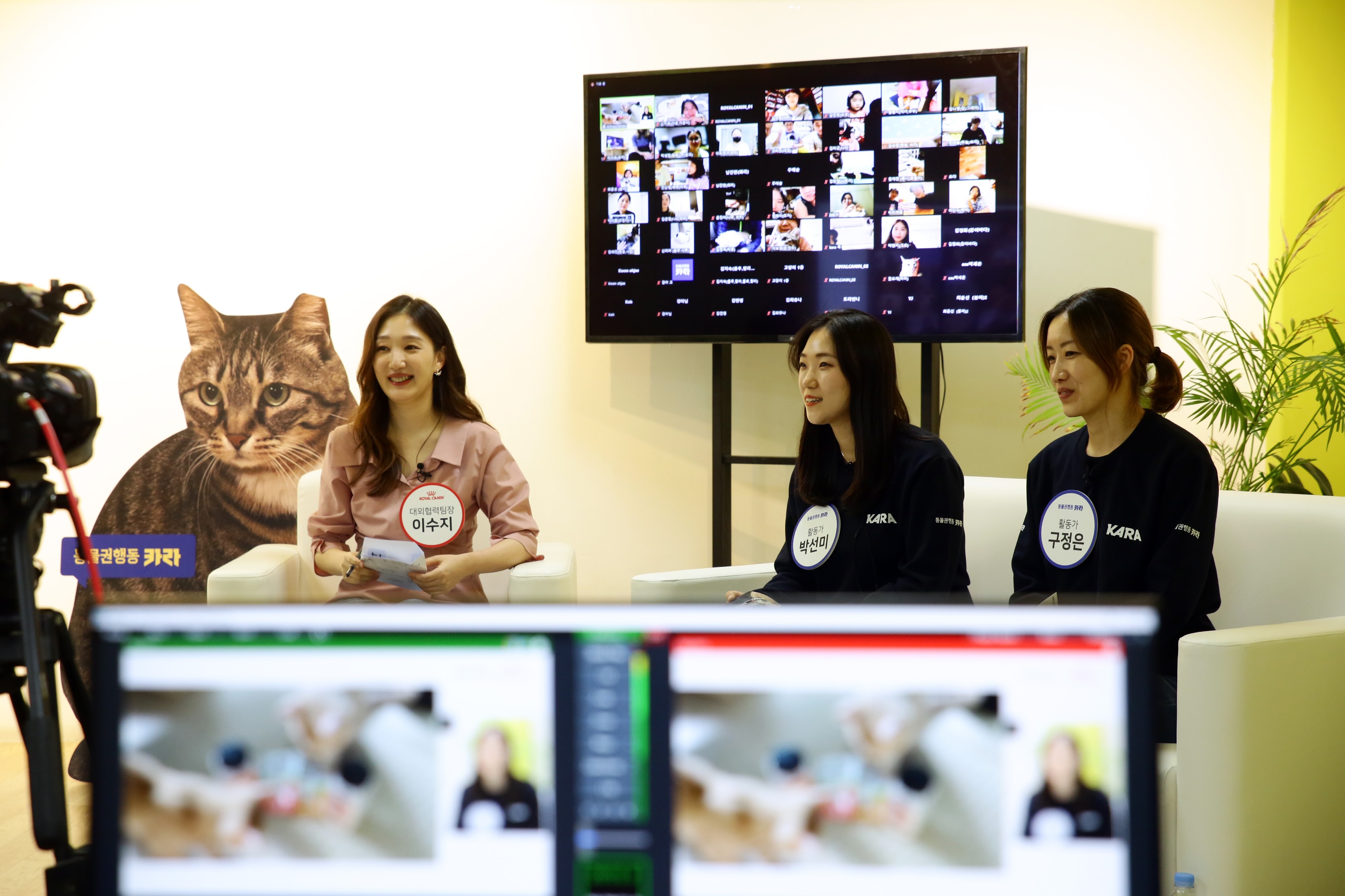 냥스 이미지