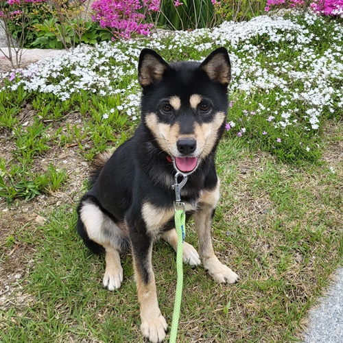 수학