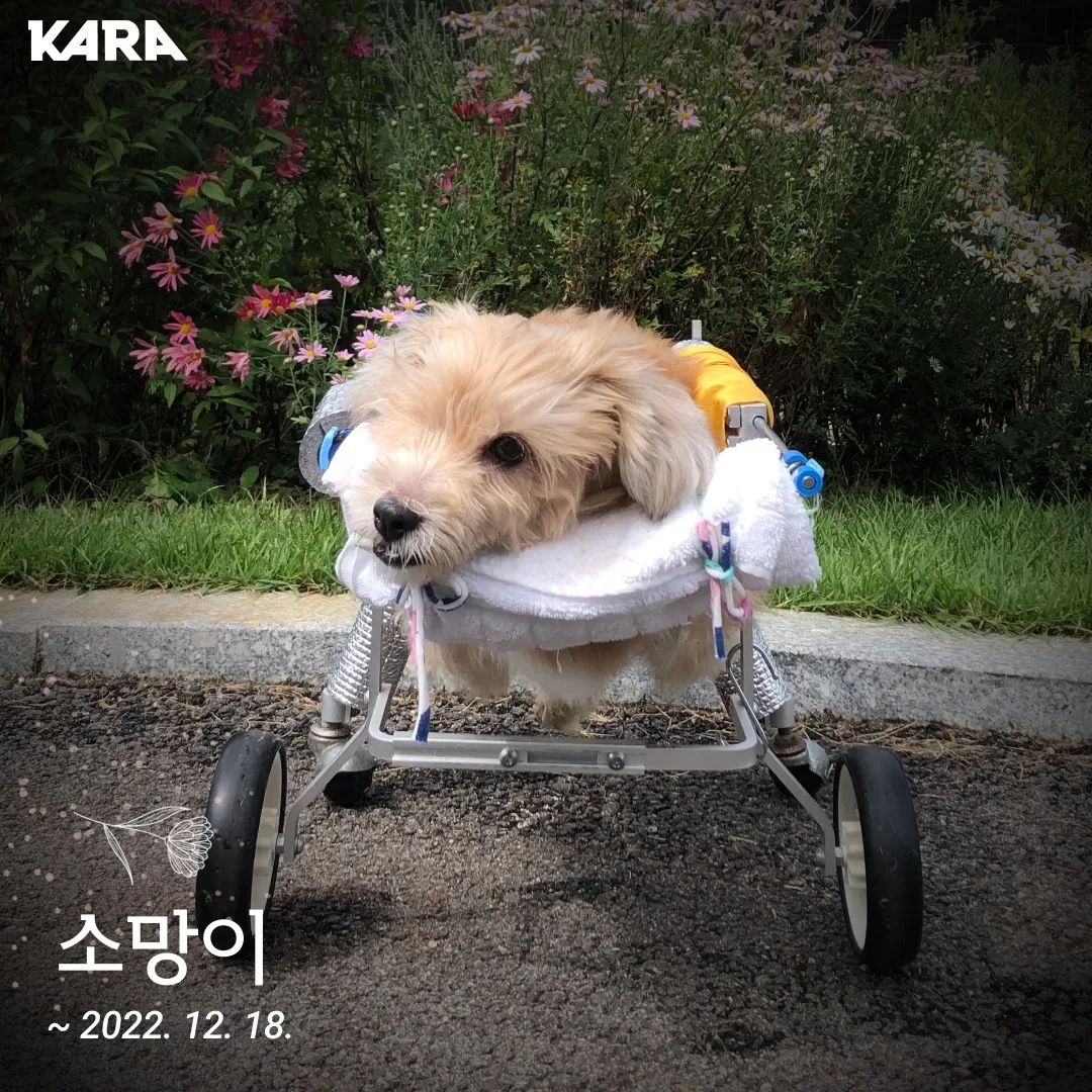 소망