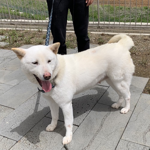 머스크