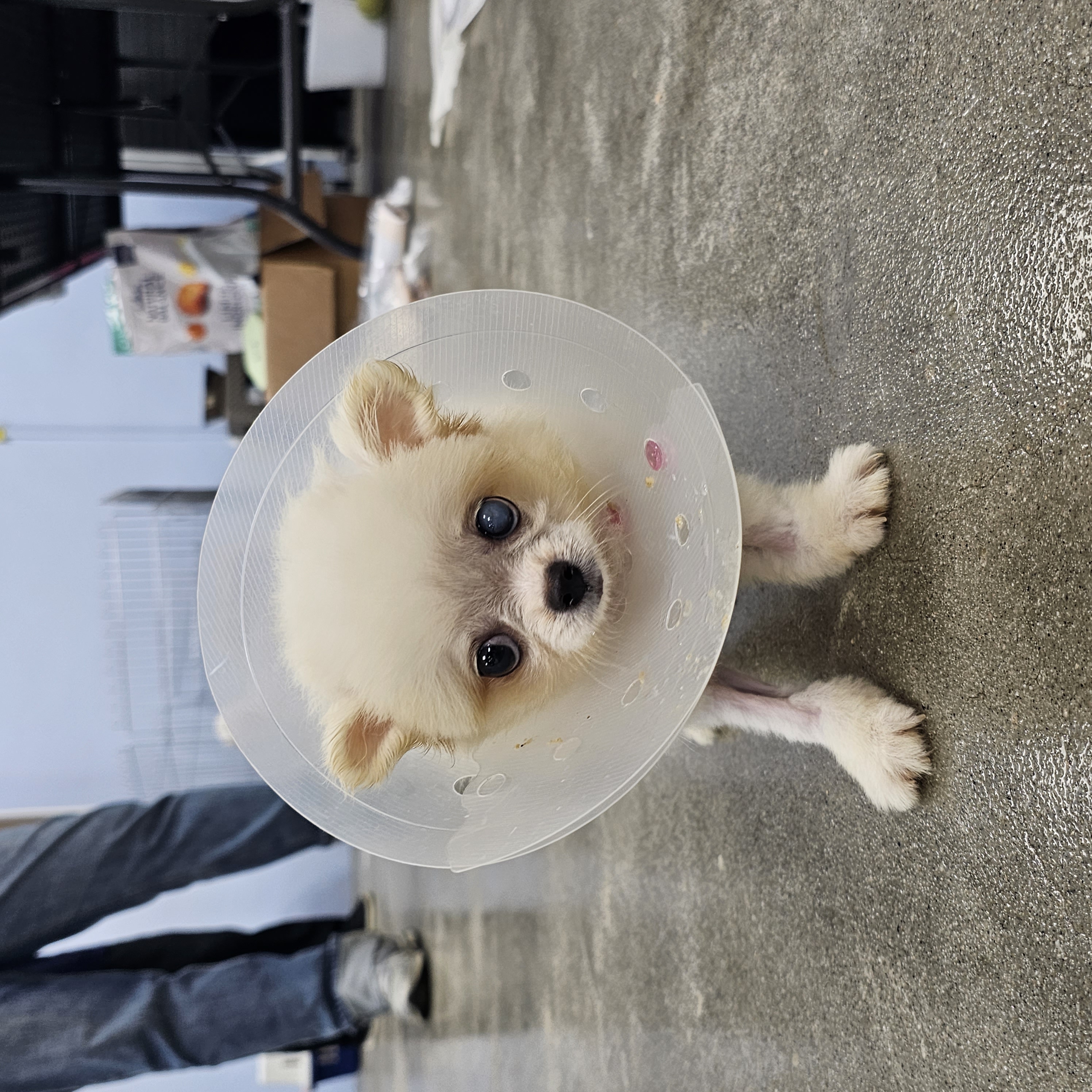 강해