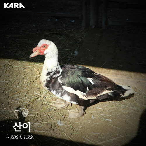 산이