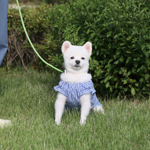 포슬