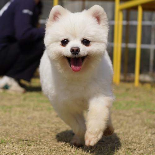 예나