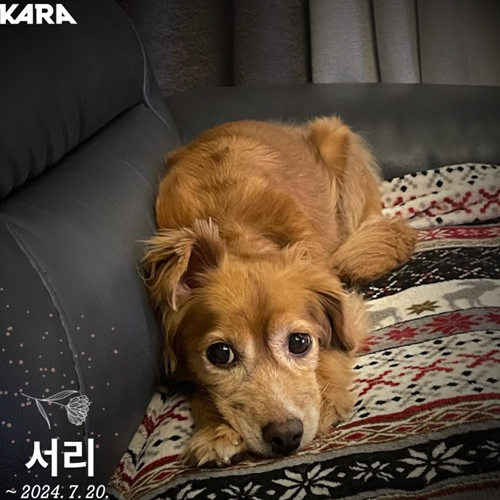 서리