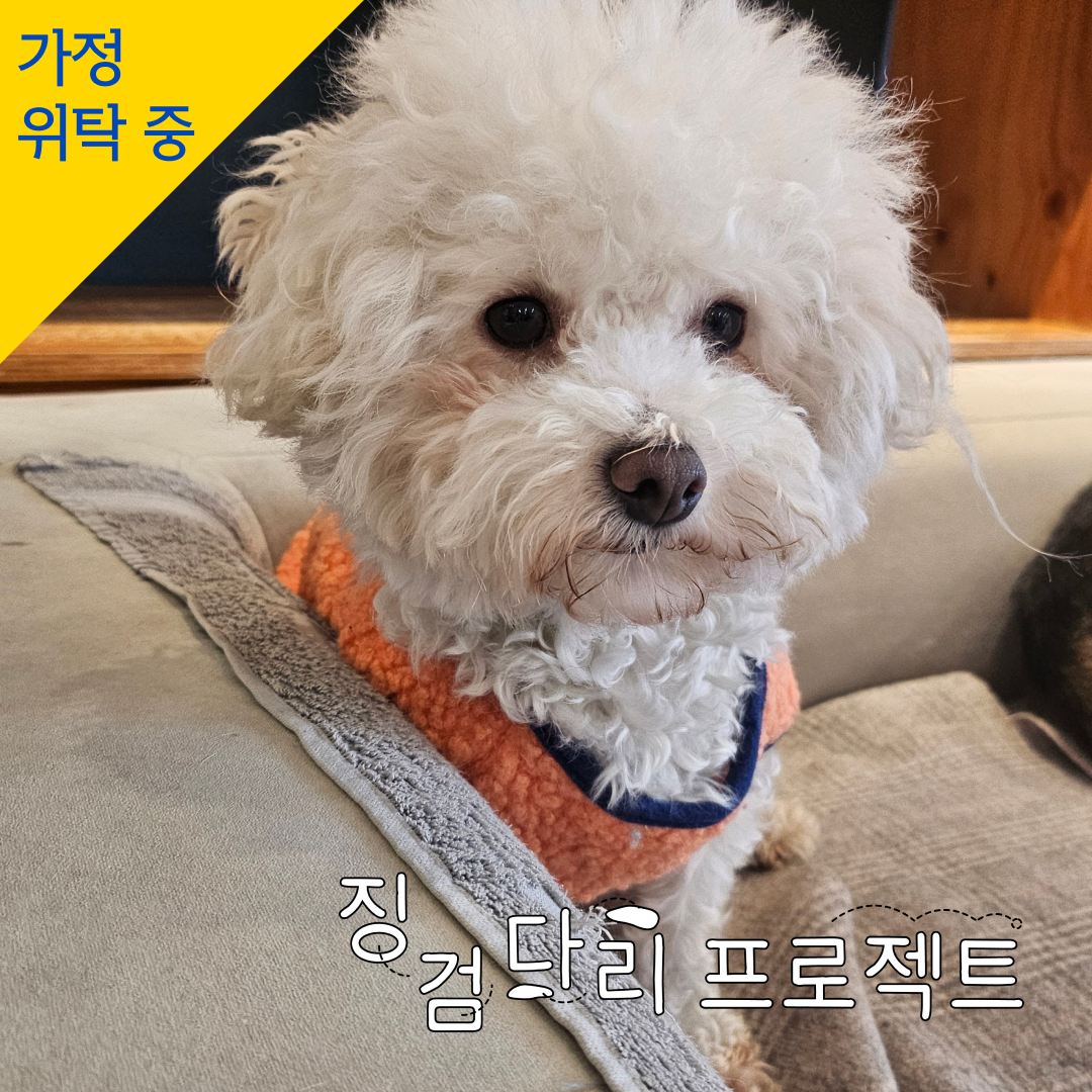 푸실리