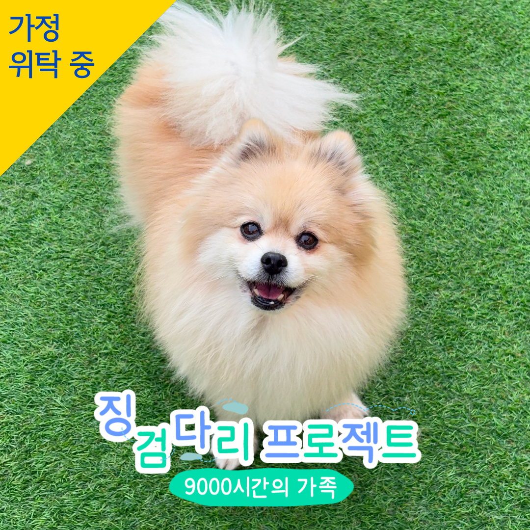 유키 