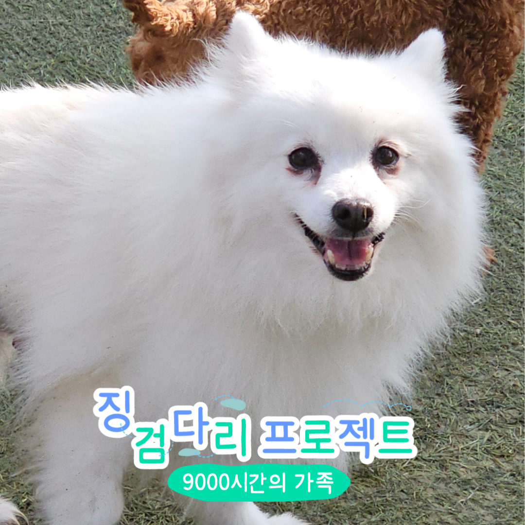 신비