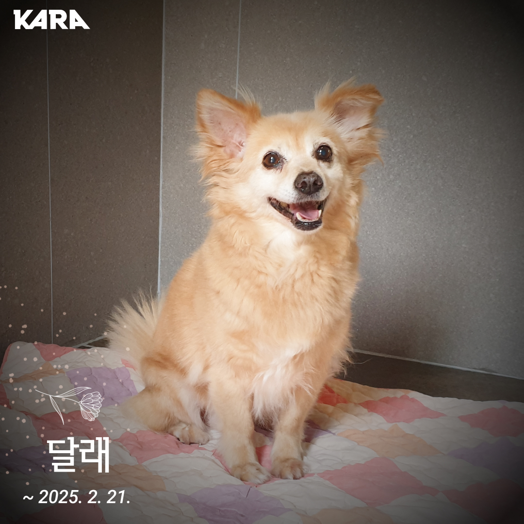 달래