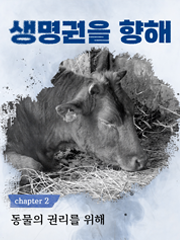 카라 브랜드 메시지 vol. 2