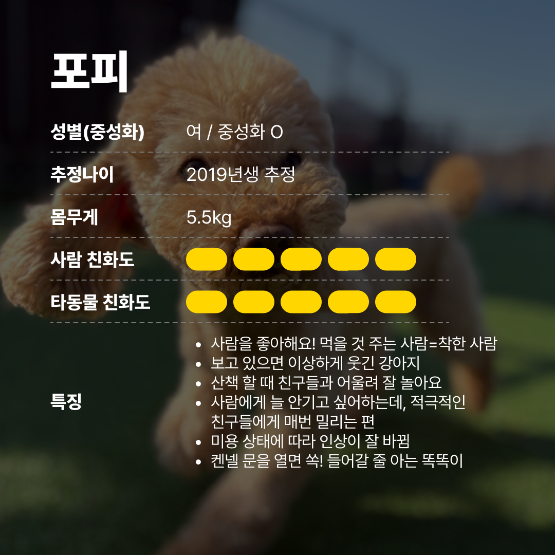 포피