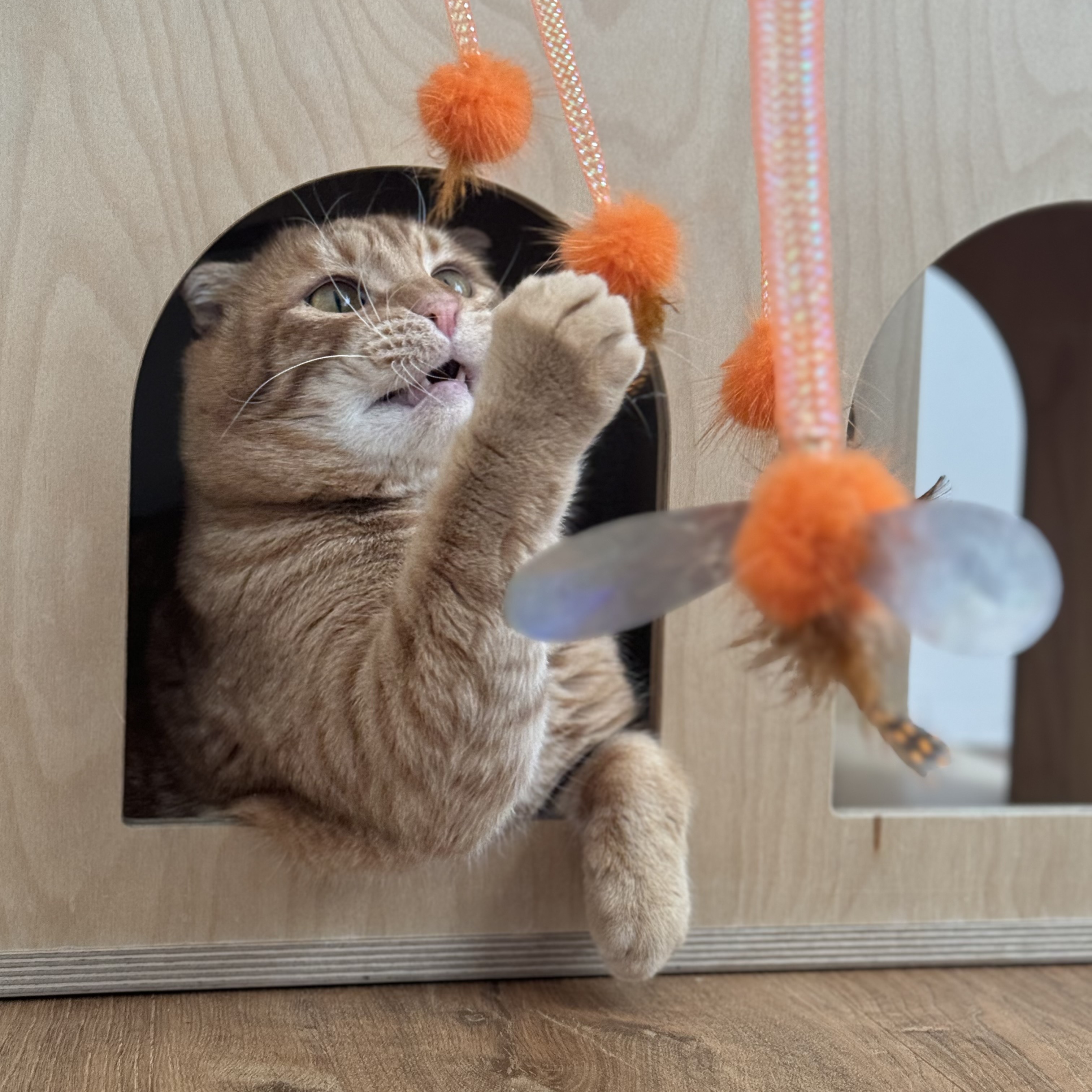 코레