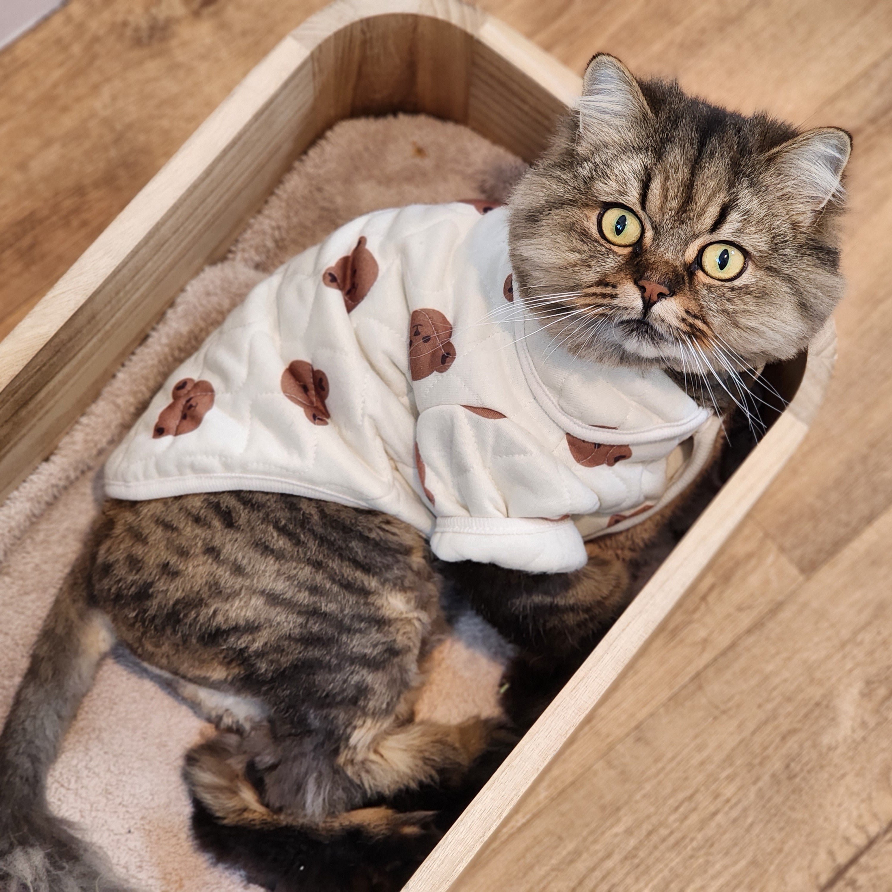 랑지