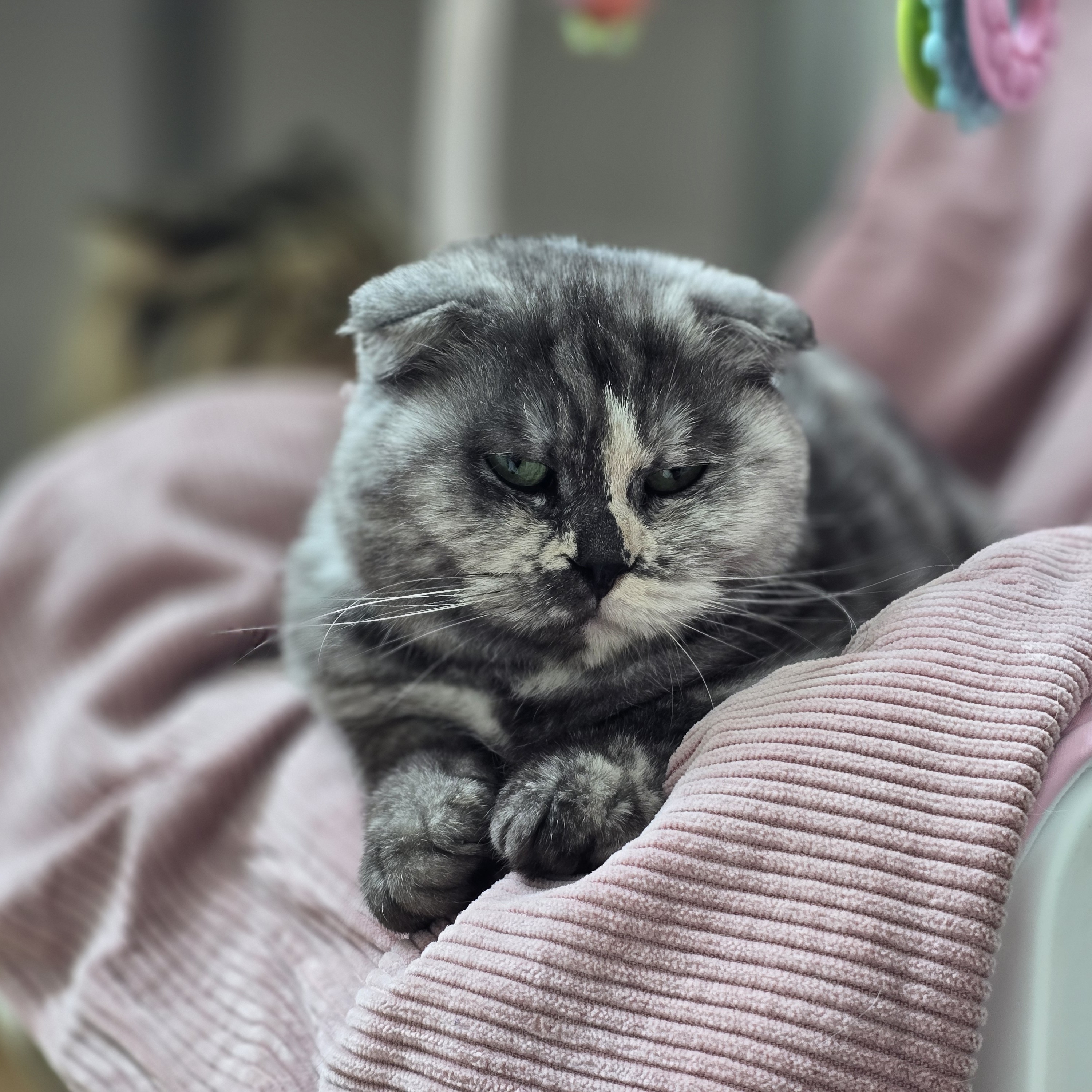 타미나