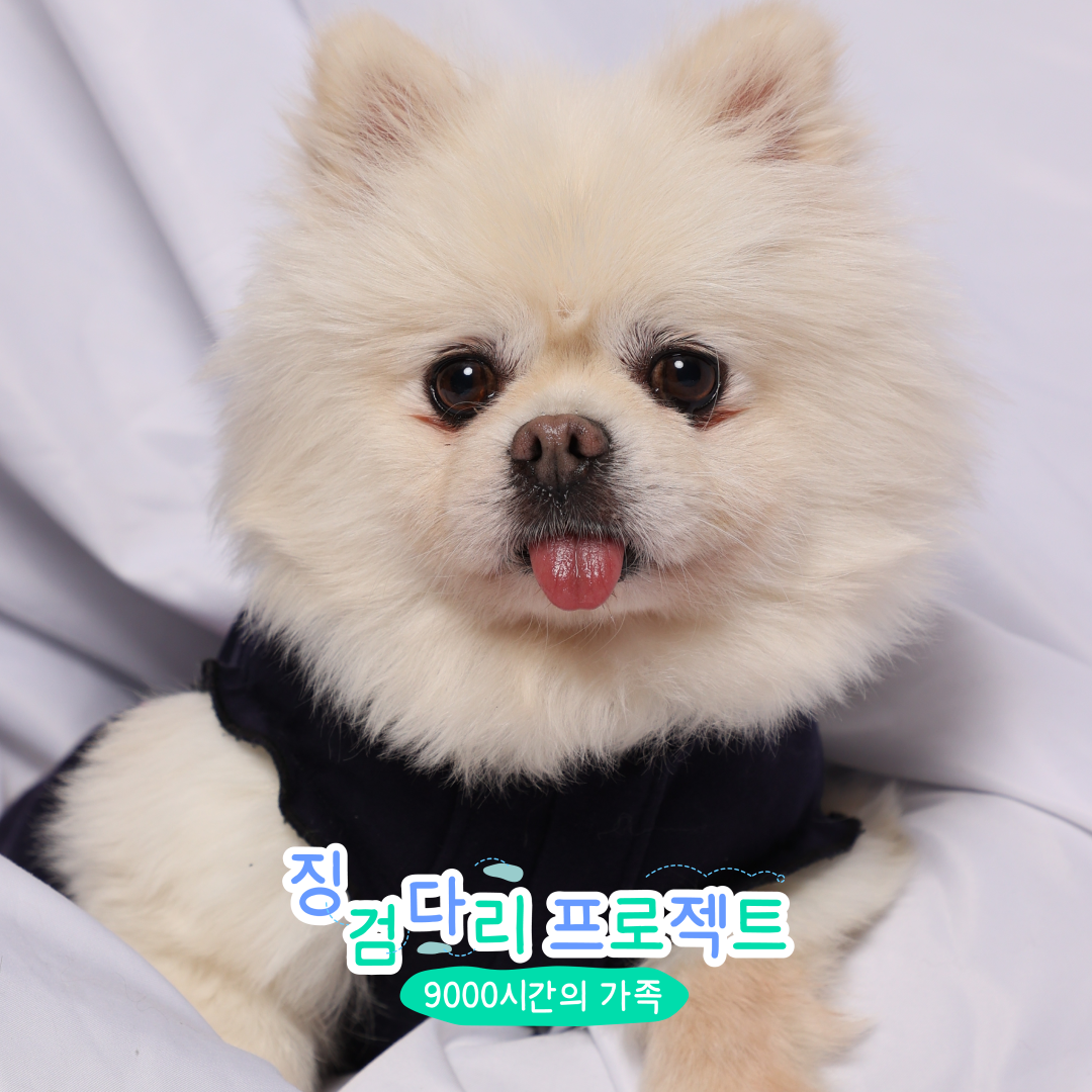 구피