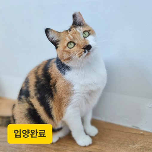 달자