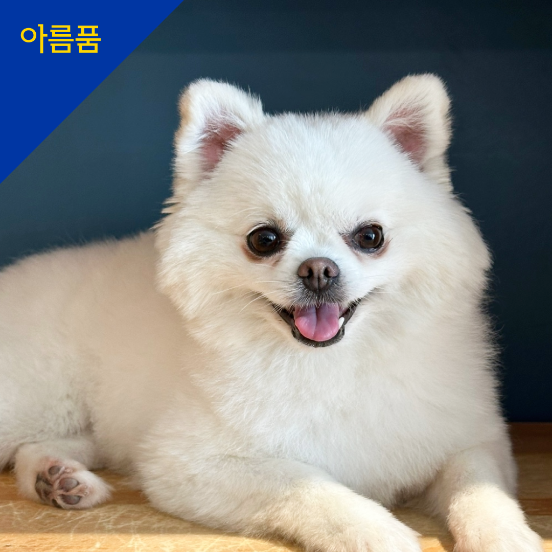 레아