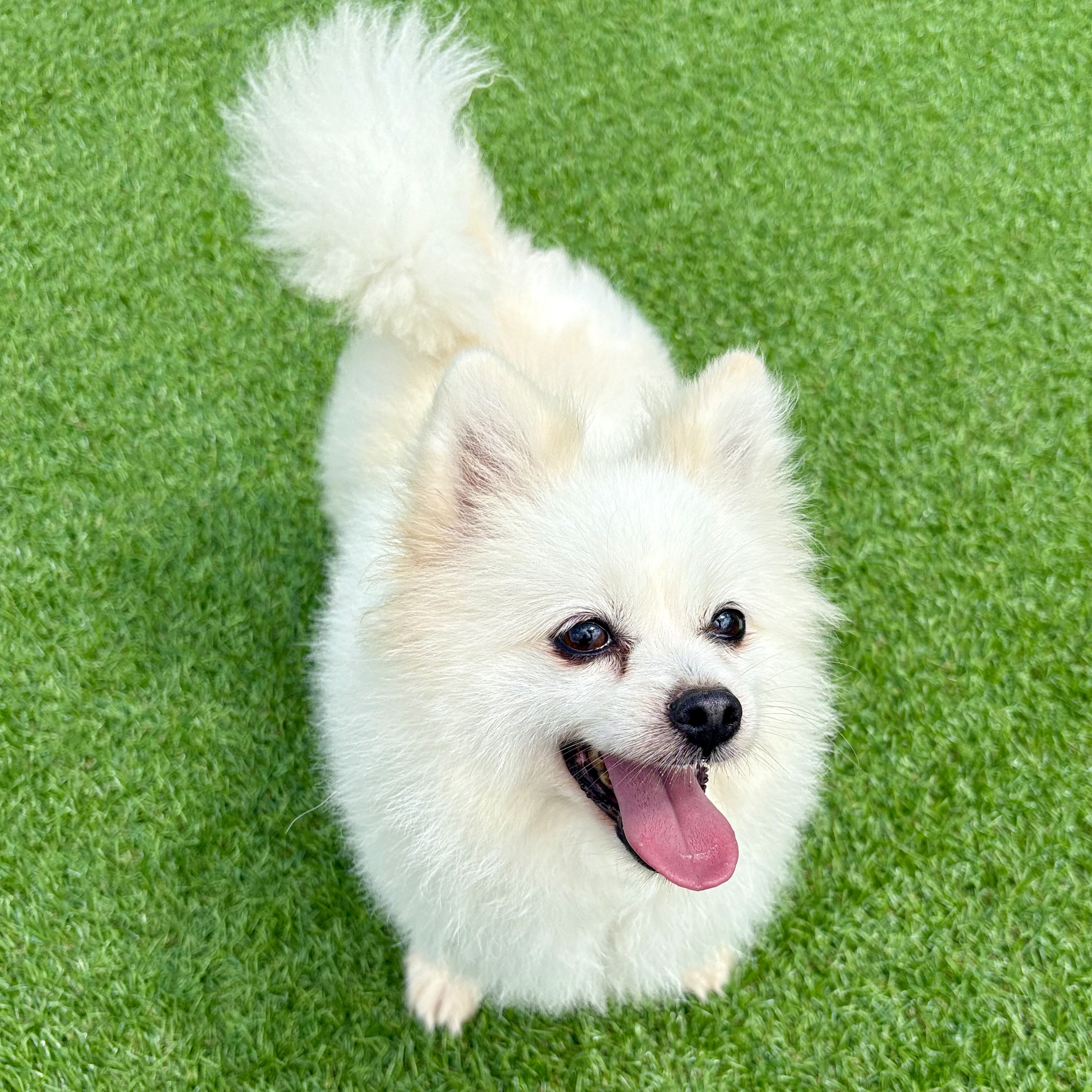 헤이