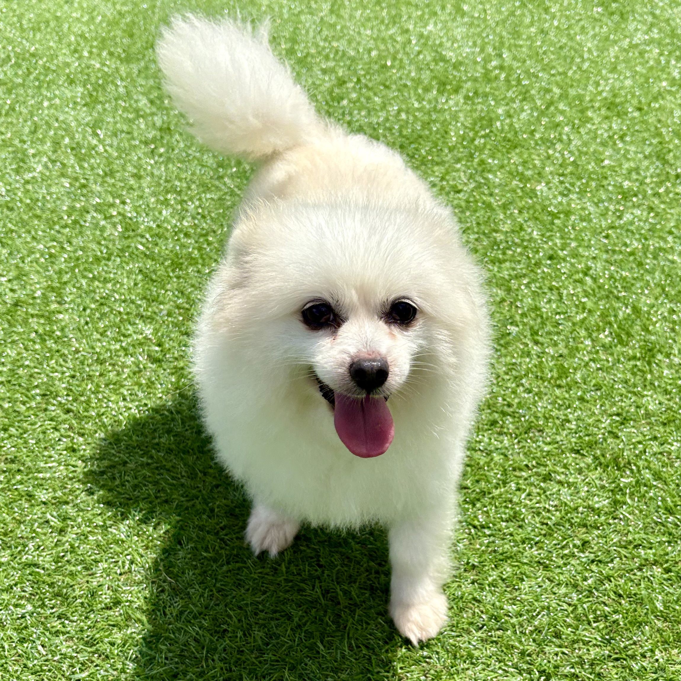헤이