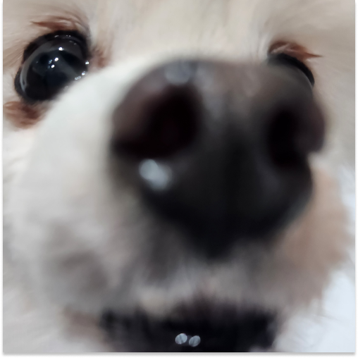 포슬