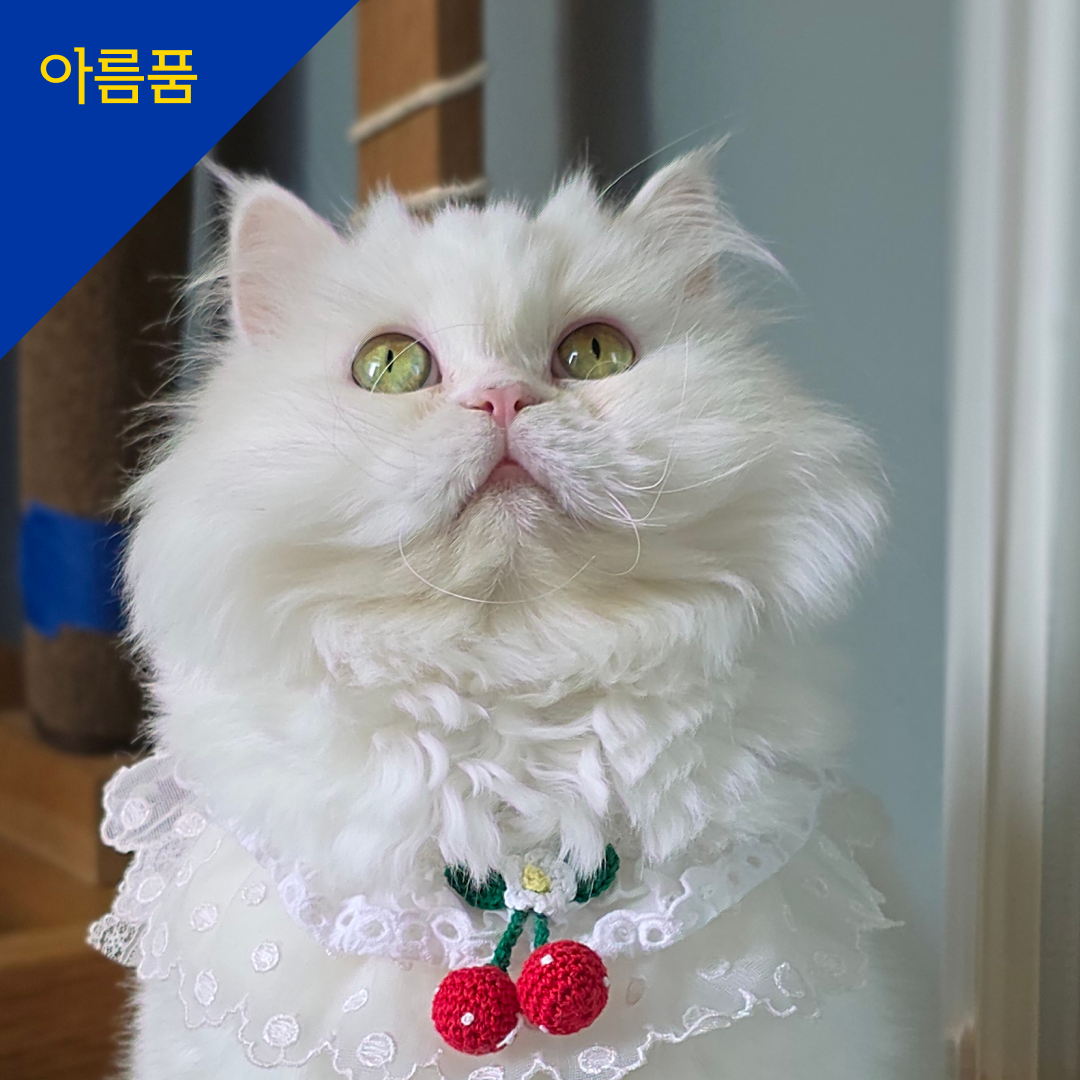 차차