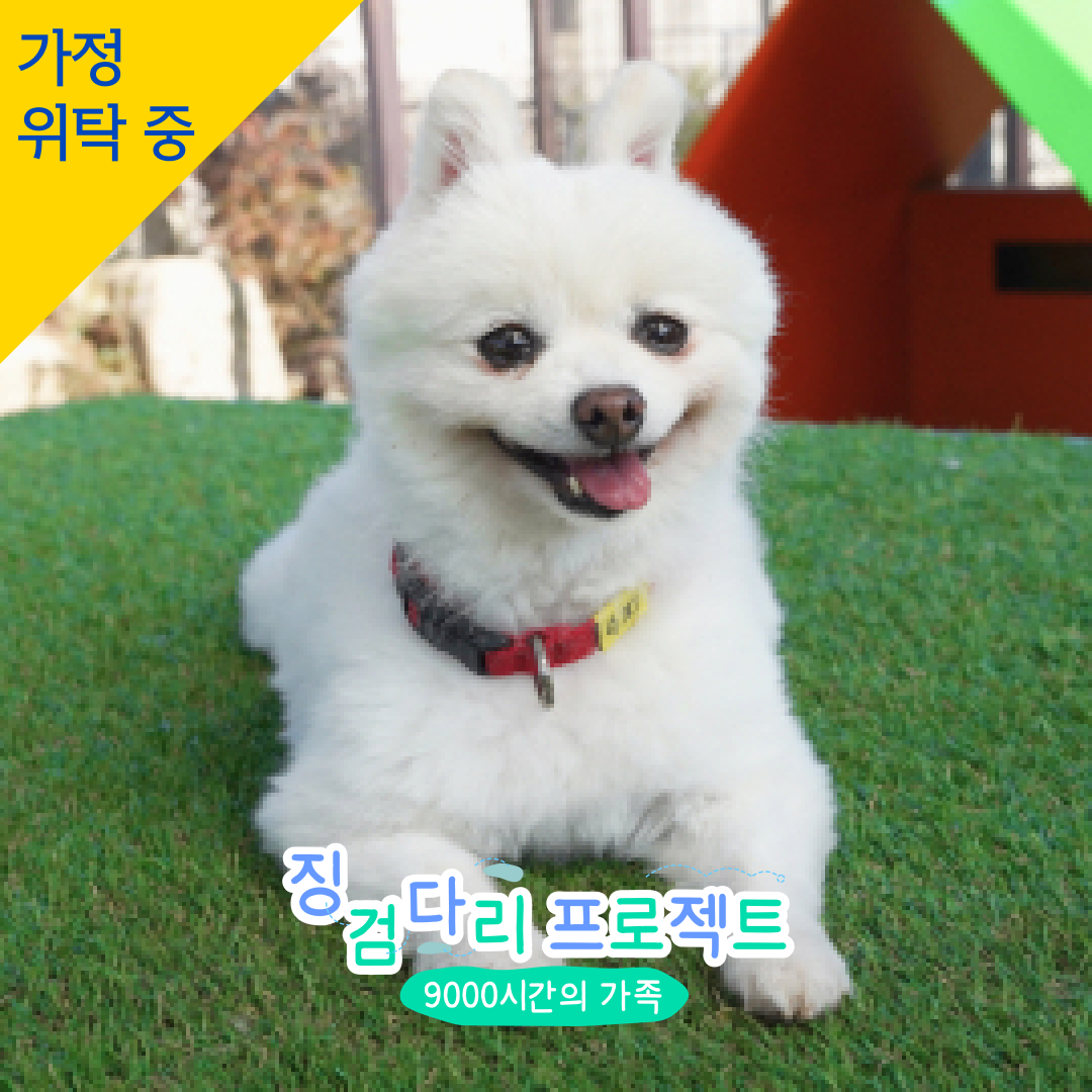 수피