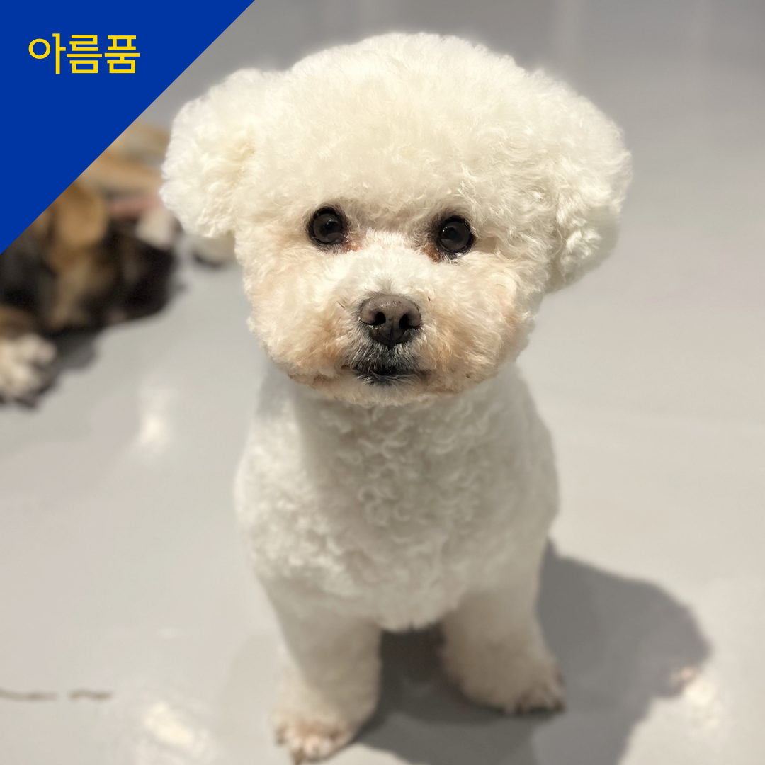 하르
