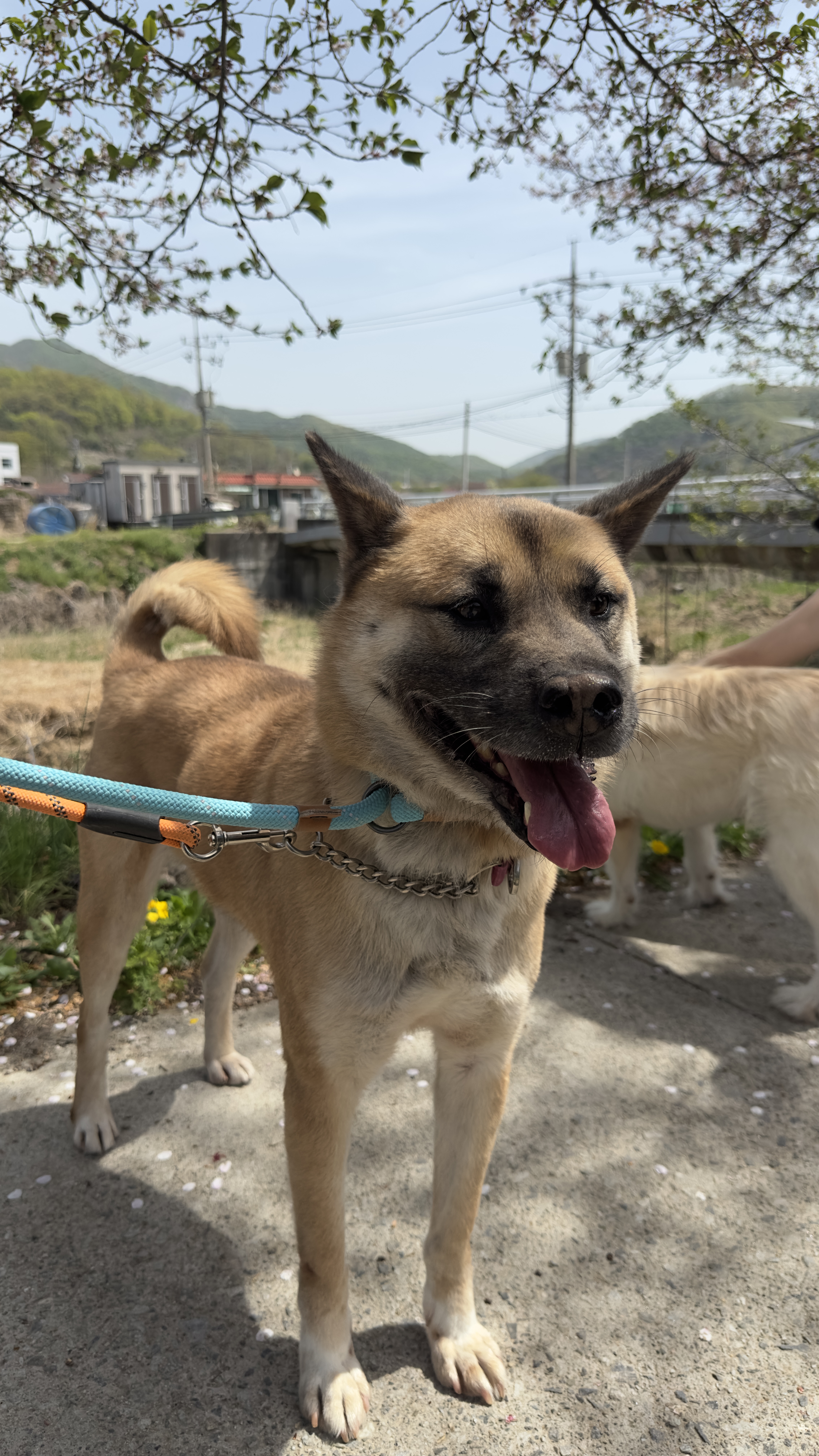 덕구