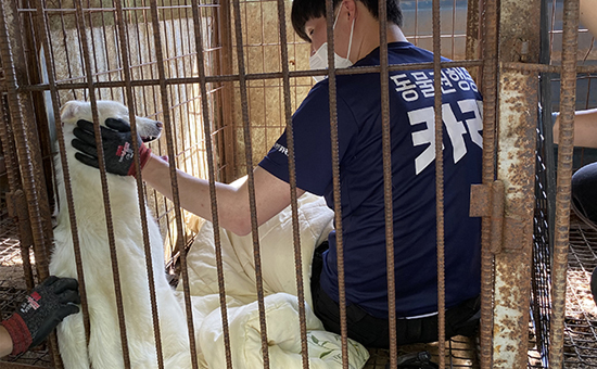 일시후원